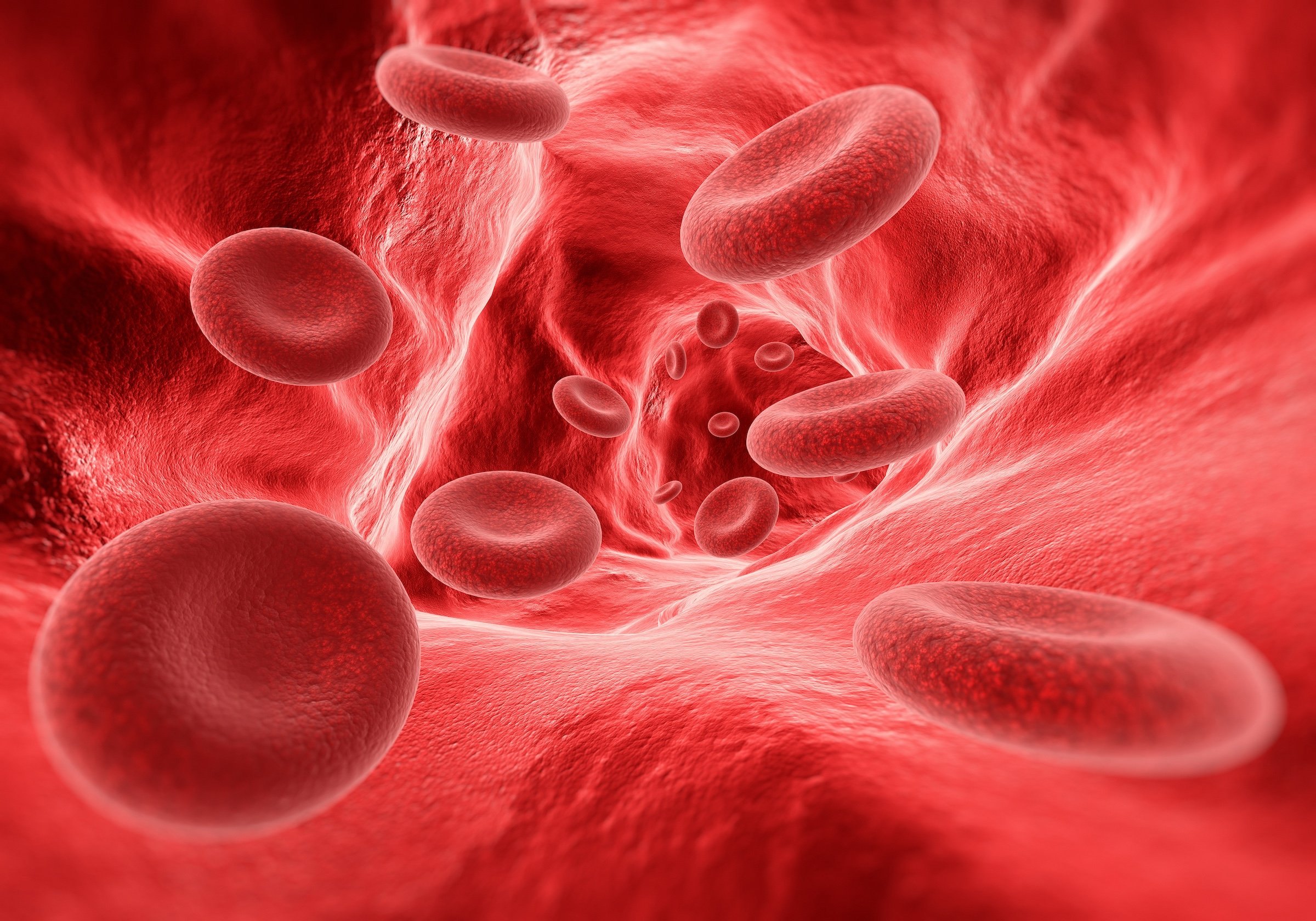 blood-cells-in-the-vein-2026-01-07-06-23-57-utc-2